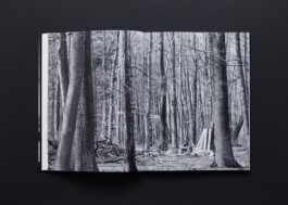 lasse schlegel grafikdesign art direction hannover linden