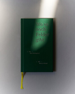  lasse schlegel grafikdesign art direction hannover linden