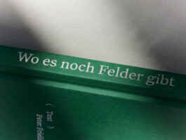 lasse schlegel grafikdesign art direction hannover linden