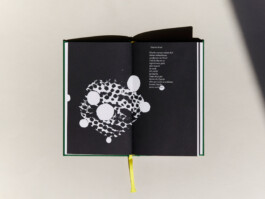 lasse schlegel grafikdesign art direction hannover linden