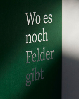 lasse schlegel grafikdesign art direction hannover linden