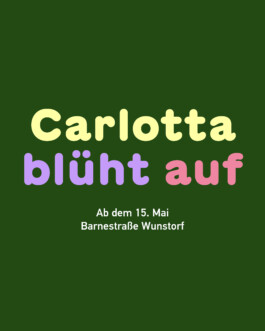 lasse schlegel grafikdesign art direction hannover linden