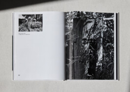 lasse schlegel grafikdesign art direction hannover linden