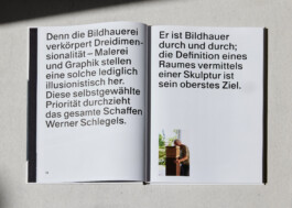 lasse schlegel grafikdesign art direction hannover linden