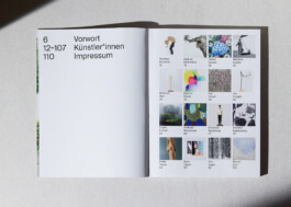 lasse schlegel grafikdesign art direction hannover linden