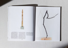 lasse schlegel grafikdesign art direction hannover linden