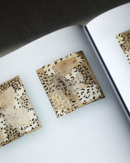  studio lasse schlegel hannover design grafikdesign kommunikation visuelle identität