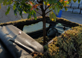  studio lasse schlegel hannover design grafikdesign kommunikation visuelle identität