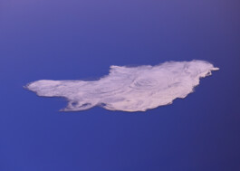  studio lasse schlegel hannover design grafikdesign kommunikation visuelle identität