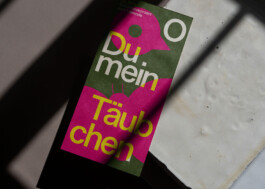 studio lasse schlegel hannover design grafikdesign kommunikation visuelle identität